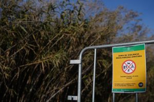 Barcelona cierra totalmente Collserola y prohíbe su actividad lúdica tras hallar un positivo de peste porcina