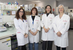 Combinan bacteriófagos con aceites esenciales para eliminar bacterias multirresistentes en granjas