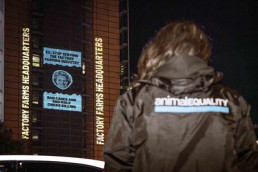 Comisión Europea calificada como 