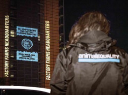 Comisión Europea calificada como 