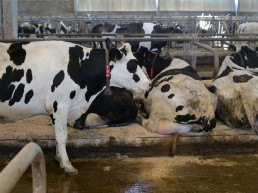 La Rioja adopta nuevas medidas cautelares frente a la DNC adaptadas a situación de vacunación en comunidades limítrofes