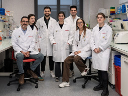 Descubren por qué algunas especies de listeria no son buenos modelos para estudiar riesgos alimentarios de esta bacteria