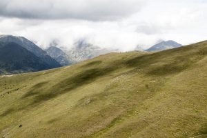 El segundo encuentro de 'Ganadería: pasado, presente y futuro' analiza la protección y gestión de las razas ganaderas