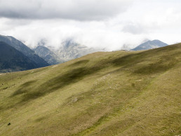 El segundo encuentro de 'Ganadería: pasado, presente y futuro' analiza la protección y gestión de las razas ganaderas