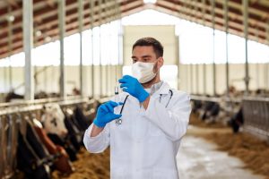 Planas defiende el papel de los servicios veterinarios para frenar enfermedades