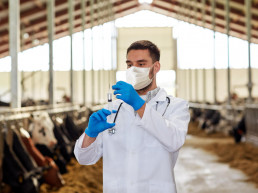 Planas defiende el papel de los servicios veterinarios para frenar enfermedades