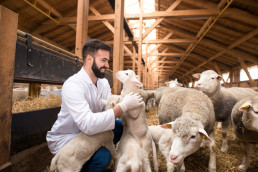 El Gobierno publica la orden de módulos con importantes reducciones en el IRPF 2025 para 800.000 agricultores y ganaderos