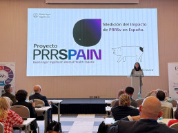 Boehringer Ingelheim presenta PRRSPAIN en el VI Animal Health Innovation Day