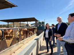 La Comunidad lanza una convocatoria de ayudas de un millón de euros para las Agrupaciones de Defensa Sanitaria Ganadera