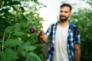 La mayoría de los fitosanitarios utilizados por los agricultores españoles son fungicidas y bactericidas, el 54 % del total
