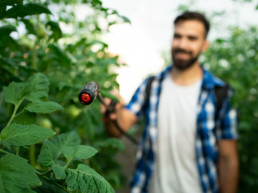 La mayoría de los fitosanitarios utilizados por los agricultores españoles son fungicidas y bactericidas, el 54 % del total