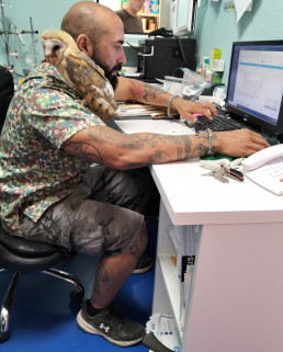 Veterinarios de Toledo: 