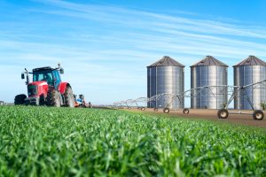 Begoña García Bernal: “La marca España también se construye desde la innovación agroalimentaria”