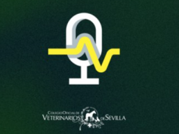 D. Ramón Franco, vocal del ICOVS, participa en Canal Sur Radio para alertar de los riesgos de la venta ambulante de alimentos sin control sanitario