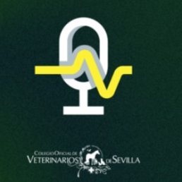 D. Ramón Franco, vocal del ICOVS, participa en Canal Sur Radio para alertar de los riesgos de la venta ambulante de alimentos sin control sanitario