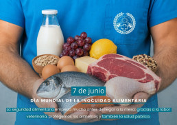 Día Mundial de la Inocuidad de los Alimentos
