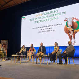 Boehringer Ingelheim promueve la reflexión sobre el bienestar emocional y la salud laboral de los veterinarios en el Congreso ANEMBE