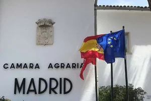 Los ganaderos afectados por los incendios recuperarán lo pagado por los pastos