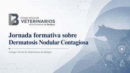 Celebramos una jornada formativa sobre Dermatosis Nodular Contagiosa