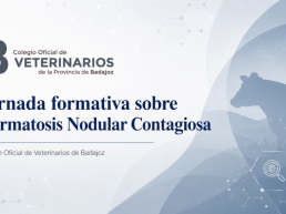 Celebramos una jornada formativa sobre Dermatosis Nodular Contagiosa