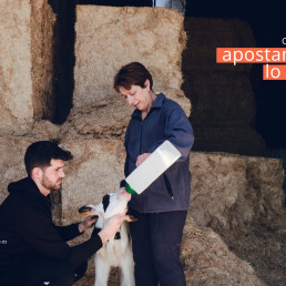 Más de 563.000 agricultores y ganaderos presentan la solicitud única de la PAC para la campaña 2026