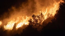 ASAJA Ávila exige ayudas urgentes, garantías para la PAC y una política real de prevención de incendios