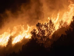 ASAJA Ávila exige ayudas urgentes, garantías para la PAC y una política real de prevención de incendios
