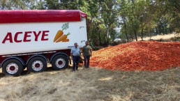 ASAJA Ávila canaliza envíos solidarios de zanahorias para el ganado afectado por los incendios