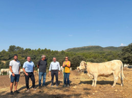 La Conserlleria de Agricultura apuesta por el vallado virtual para modernizar la ganadería extensiva y hacerla extensiva más rentable y competitiva