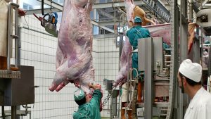 Los veterinarios de Castilla y León proponen a la Consejería de Sanidad mejoras en la formación de los profesionales que ejercen en mataderos