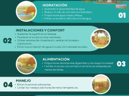 Los veterinarios destacan las medidas básicas de bienestar en animales de producción ante las altas temperaturas