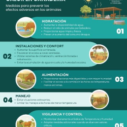 Los veterinarios destacan las medidas básicas de bienestar en animales de producción ante las altas temperaturas