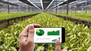 Casi 2.000 agricultores y ganaderos reciben los 9,4 millones de euros de las ayudas del plan Renove de maquinaria agraria 2026