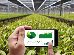 Casi 2.000 agricultores y ganaderos reciben los 9,4 millones de euros de las ayudas del plan Renove de maquinaria agraria 2026