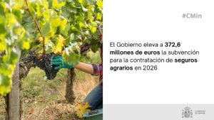 El Gobierno eleva a 372,6 millones de euros la subvención para la contratación de seguros agrarios en 2026