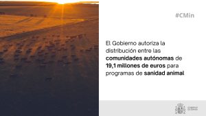 El Gobierno autoriza la distribución entre las comunidades autónomas de 19,1 millones de euros para programas de sanidad animal