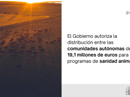 El Gobierno autoriza la distribución entre las comunidades autónomas de 19,1 millones de euros para programas de sanidad animal