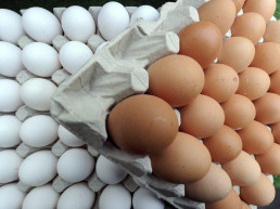 Intoxicación de salmonelosis: cuidado con los huevos pero también con otros alimentos