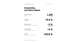 El precio del cerdo baja un 2,6 % en septiembre y los costes de alimentación vuelven a subir
