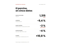 El precio del cerdo baja un 2,6 % en septiembre y los costes de alimentación vuelven a subir