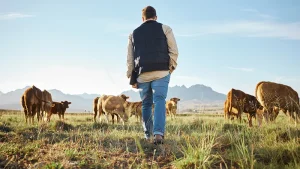 ASAJA Aragón alerta del impacto de la normativa europea de bienestar animal