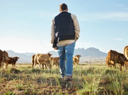 ASAJA Aragón alerta del impacto de la normativa europea de bienestar animal