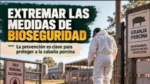 Actualización de la situación de Peste Porcina Africana en jabalíes silvestres en Cataluña