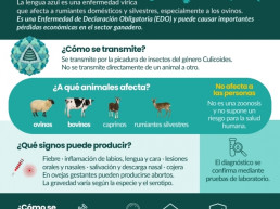 La OCV destaca la importancia de la vacunación, la vigilancia, la bioseguridad y el control de animales 